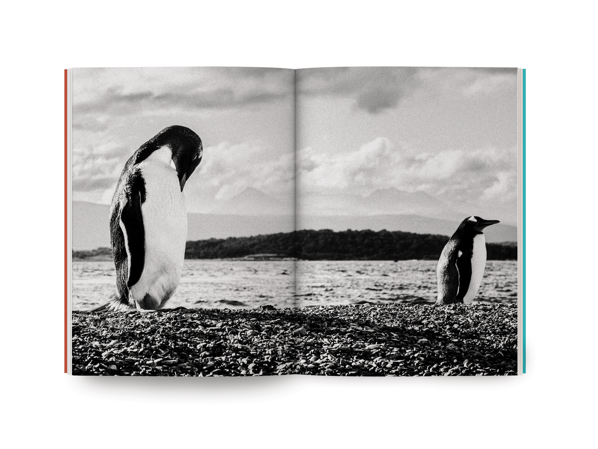 Encontrando Darwin - Uma expedição pelos confins do mundo