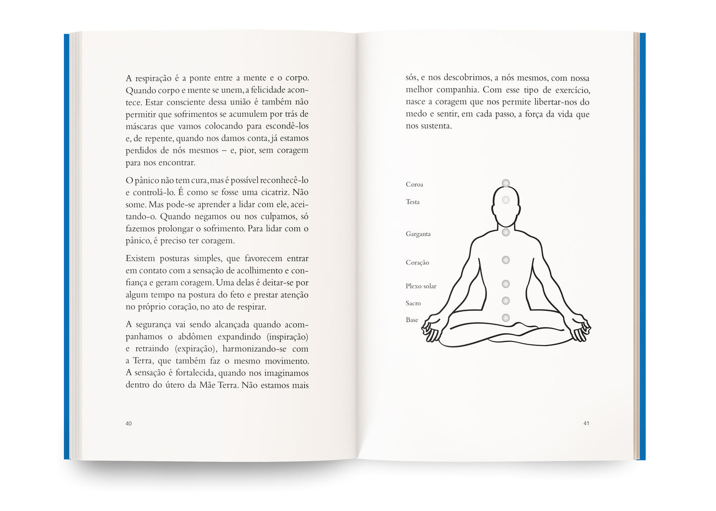 chakras e meditacão